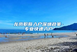 龙岗职称入户深圳政策-专业快速入户