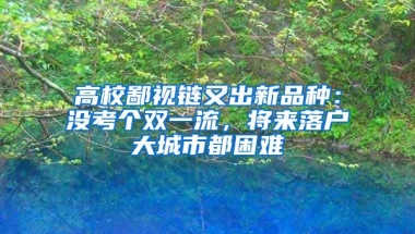 高校鄙视链又出新品种：没考个双一流，将来落户大城市都困难
