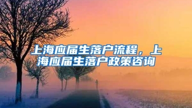 上海应届生落户流程，上海应届生落户政策咨询