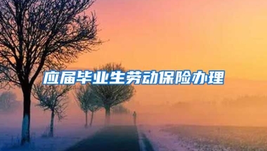 应届毕业生劳动保险办理