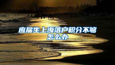 应届生上海落户积分不够怎么办