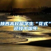 陕西高校留学生“花式”迎接中国年