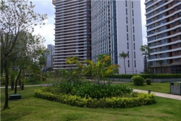 其实深圳集体户口有学位吗就这么3招！