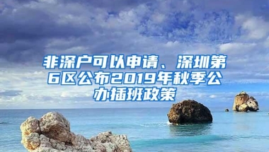 非深户可以申请、深圳第6区公布2019年秋季公办插班政策