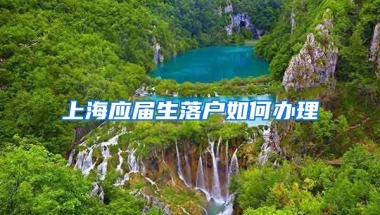 上海应届生落户如何办理