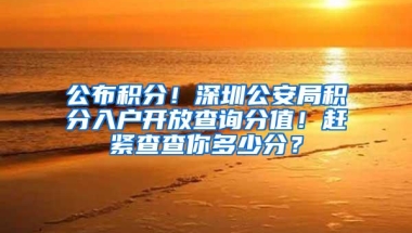 公布积分！深圳公安局积分入户开放查询分值！赶紧查查你多少分？