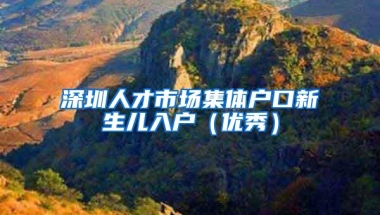 深圳人才市场集体户口新生儿入户（优秀）