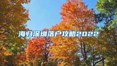 海归深圳落户攻略2022