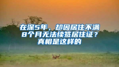 在深5年，却因居住不满8个月无法续签居住证？真相是这样的