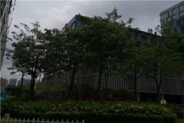 如何让2021年海归硕士落户深圳政策更简单？