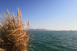 深圳集体户口能挂靠在亲戚房产名下的详细思路和方法，帮你应对大多数问题