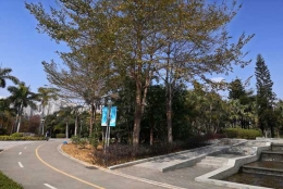 克服“深圳市集体户口本人页恐惧”的5个建议