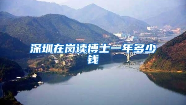 深圳在岗读博士一年多少钱