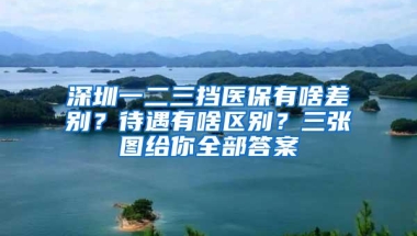 深圳一二三挡医保有啥差别？待遇有啥区别？三张图给你全部答案