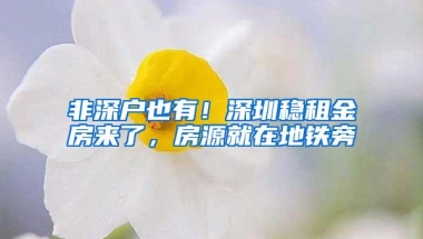 非深户也有！深圳稳租金房来了，房源就在地铁旁