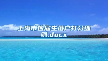 上海市应届生落户打分细则.docx