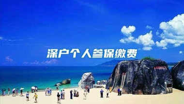 深户个人参保缴费
