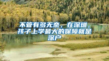 不管有多无奈，在深圳，孩子上学最大的保障就是深户