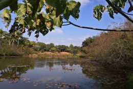 深圳集体户口小孩入何入户，可能你在意这件事……