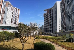 “智慧方法”破解留学回国人员入户深圳难题