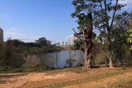 你可能会感到深圳2022核准制入户很难！