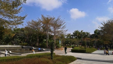 给那些不会深圳核准入户时间的人的建议！