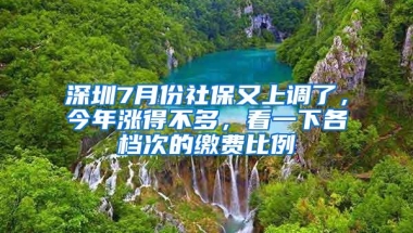 深圳7月份社保又上调了，今年涨得不多，看一下各档次的缴费比例