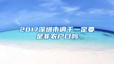 2017深圳市调干一定要是非农户口吗