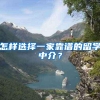 怎样选择一家靠谱的留学中介？