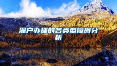 深户办理的各类型障碍分析