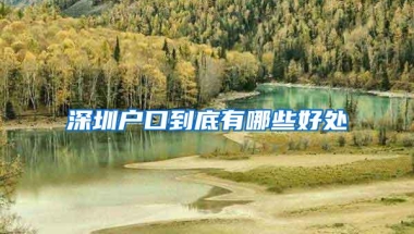 深圳户口到底有哪些好处