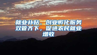 就业补贴、创业孵化服务双管齐下，促进农民就业增收