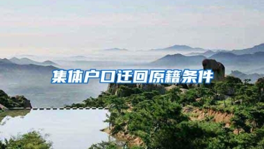 集体户口迁回原籍条件