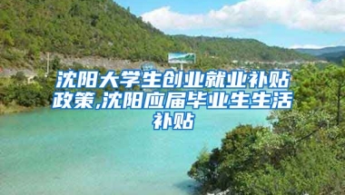 沈阳大学生创业就业补贴政策,沈阳应届毕业生生活补贴