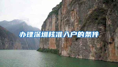 办理深圳核准入户的条件