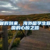 暑假到来，海外留学生回国的心酸之路