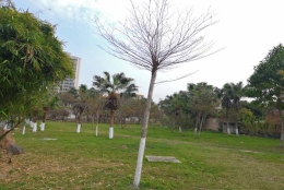 重磅！2021年海南集体户口如何转为个人户口越来越简单了！