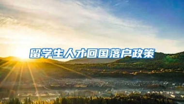 留学生人才回国落户政策