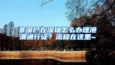 非深户在深圳怎么办理港澳通行证？流程在这里~