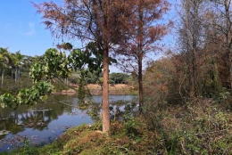 很多人都在为这简单的深圳集体户口小孩怎么落户解决方法而倾倒！
