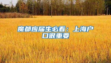 魔都应届生必看：上海户口很重要