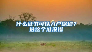 什么证书可以入户深圳？选这个准没错