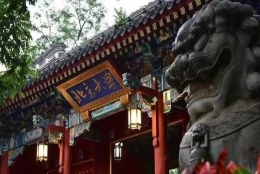 清华北大的硕士博士，抢着去深圳当老师，为啥？