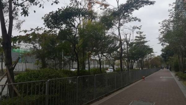 留学生落户深圳的好处与弊端更简单了，还是更麻烦了？