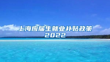 上海应届生就业补贴政策2022