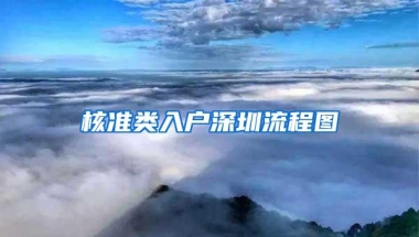 核准类入户深圳流程图