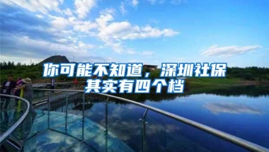 你可能不知道，深圳社保其实有四个档
