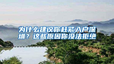 为什么建议你赶紧入户深圳？这些原因你没法拒绝