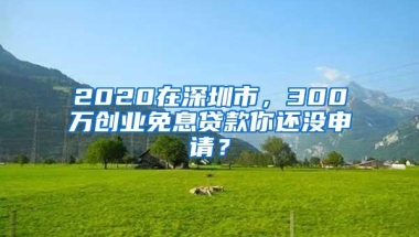 2020在深圳市，300万创业免息贷款你还没申请？