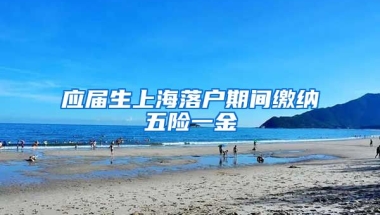 应届生上海落户期间缴纳五险一金